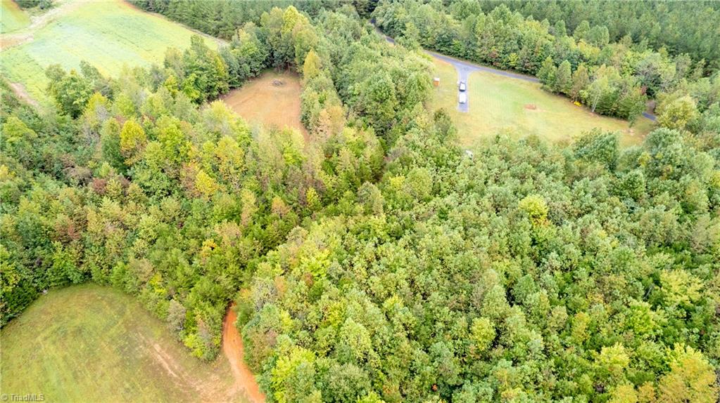 448 Brintle Road Reidsville, NC 27320 - Photo 21 of 42 Gallery Image 21