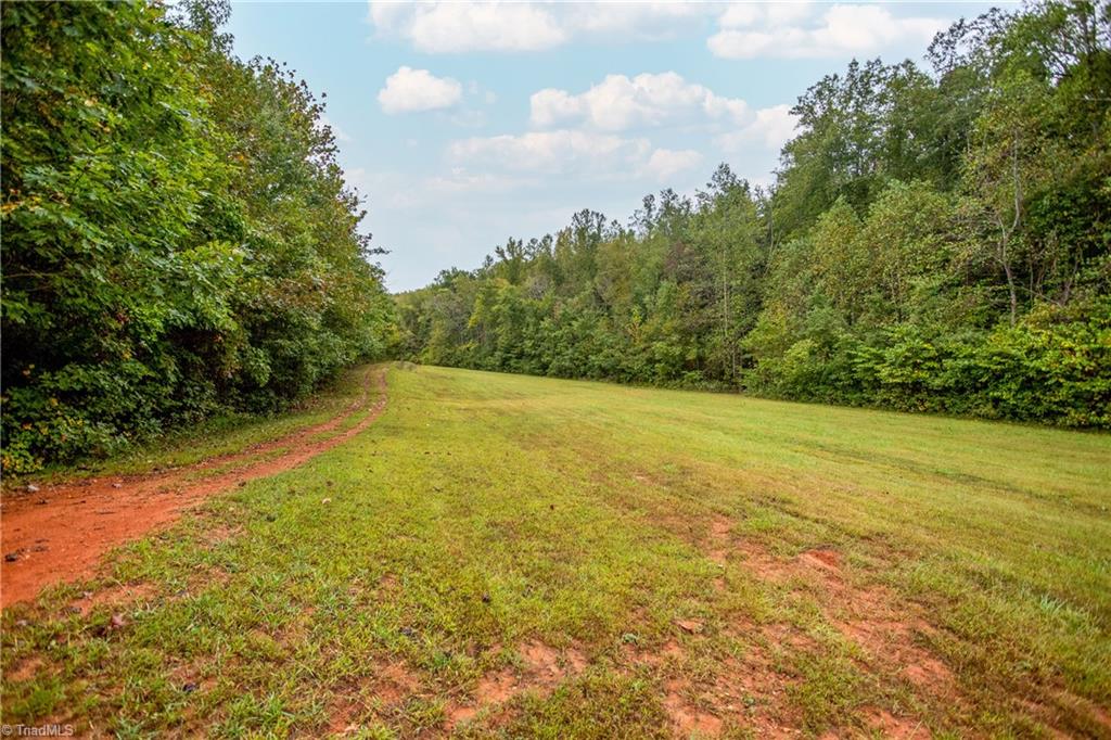 448 Brintle Road Reidsville, NC 27320 - Photo 27 of 42 Gallery Image 27