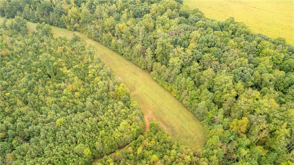 448 Brintle Road Reidsville, NC 27320 - Photo 31 of 42 Gallery Image 31