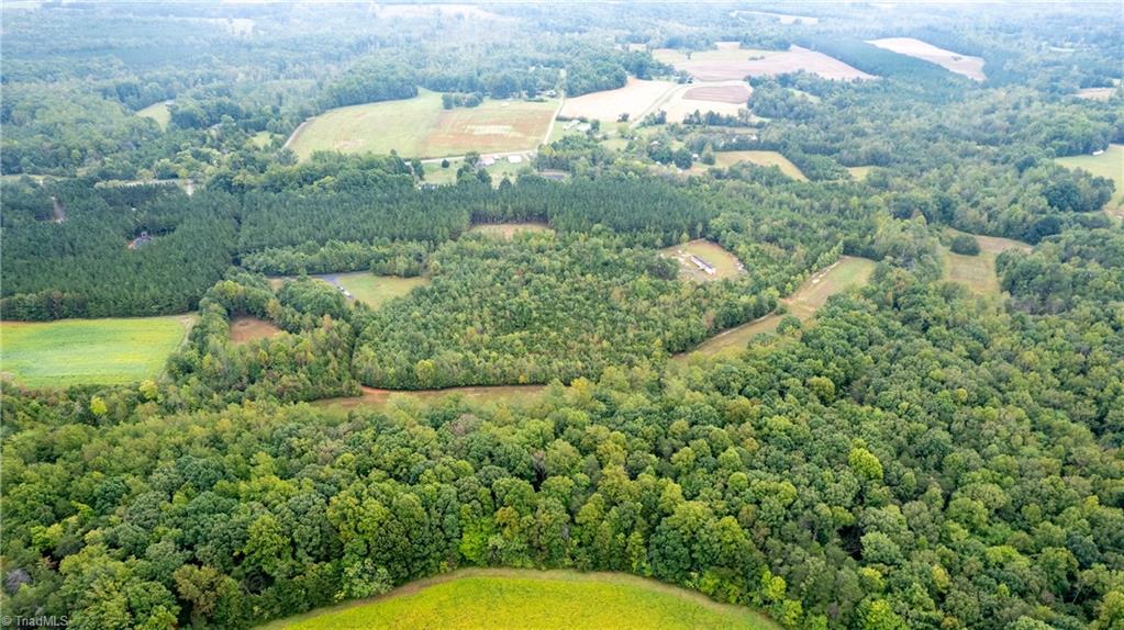 448 Brintle Road Reidsville, NC 27320 - Photo 35 of 42 Gallery Image 35