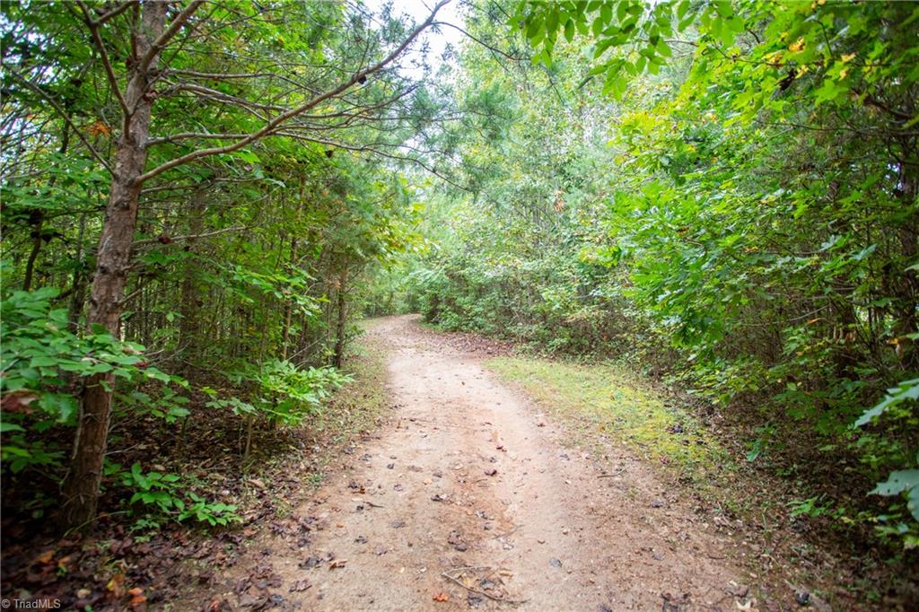 448 Brintle Road Reidsville, NC 27320 - Photo 40 of 42 Gallery Image 40