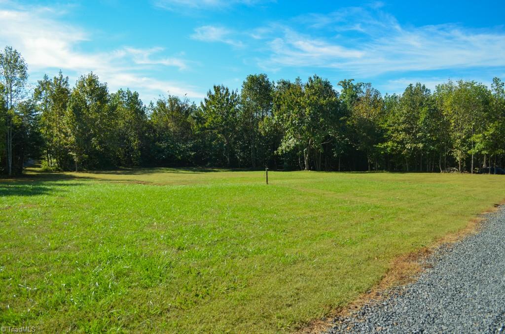 448 Brintle Road Reidsville, NC 27320 - Photo 5 of 42 Gallery Image 5