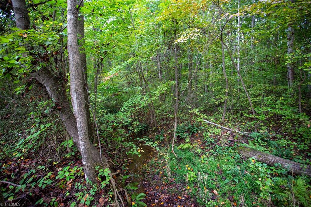 448 Brintle Road Reidsville, NC 27320 - Photo 41 of 42 Gallery Image 41