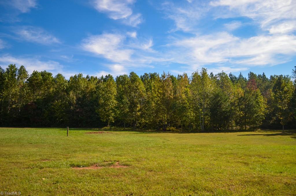 448 Brintle Road Reidsville, NC 27320 - Photo 6 of 42 Gallery Image 6