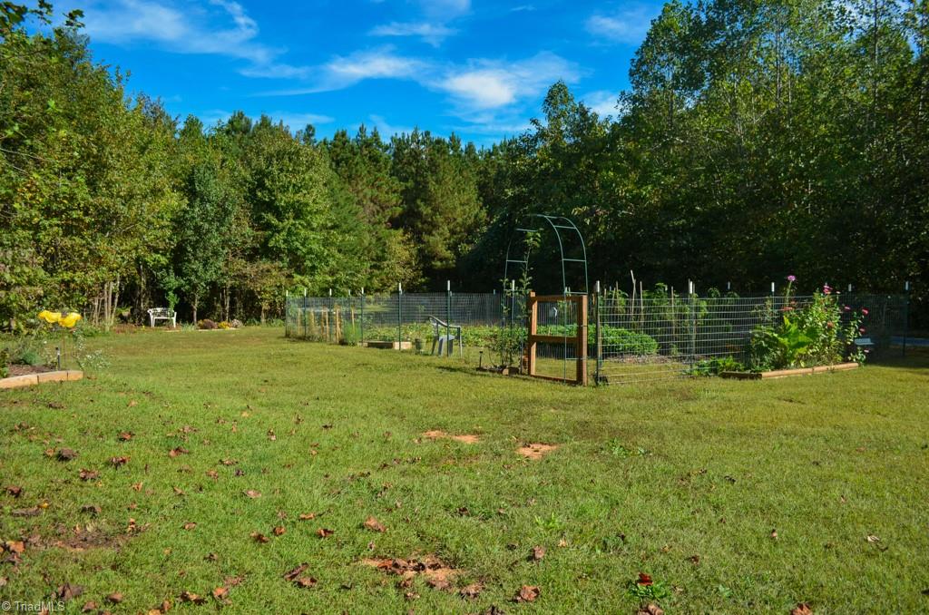 448 Brintle Road Reidsville, NC 27320 - Photo 9 of 42 Gallery Image 9
