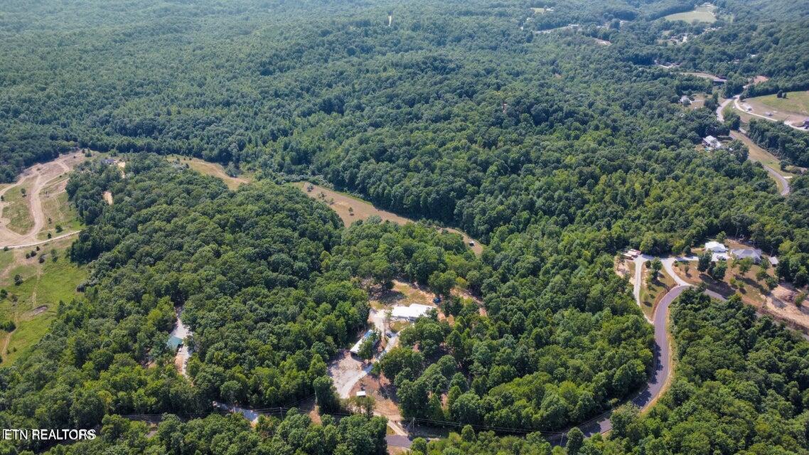 762 Ridge Road Robbins, TN 37852 - Photo 3 of 50 20240717134311886137000000-o