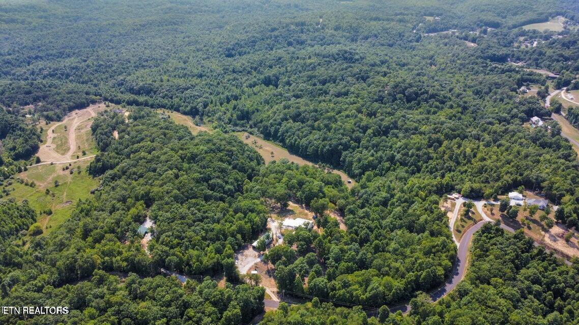 762 Ridge Road Robbins, TN 37852 - Photo 4 of 50 20240717134321177285000000-o