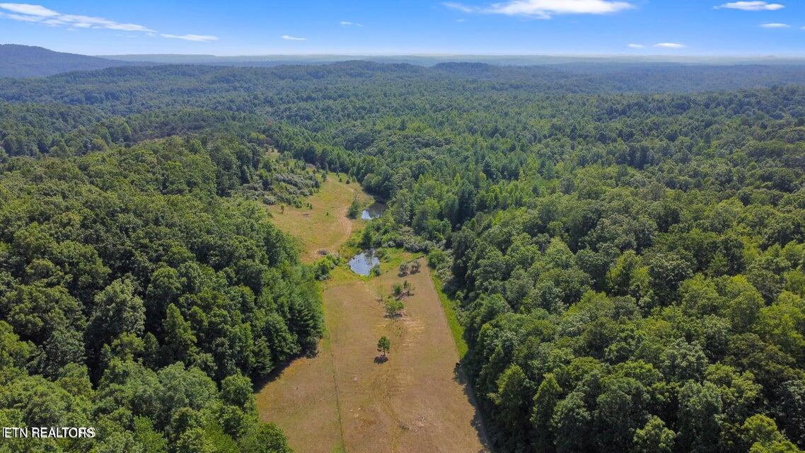 762 Ridge Road Robbins, TN 37852 - Photo 8 of 50 20240717134400958191000000-o