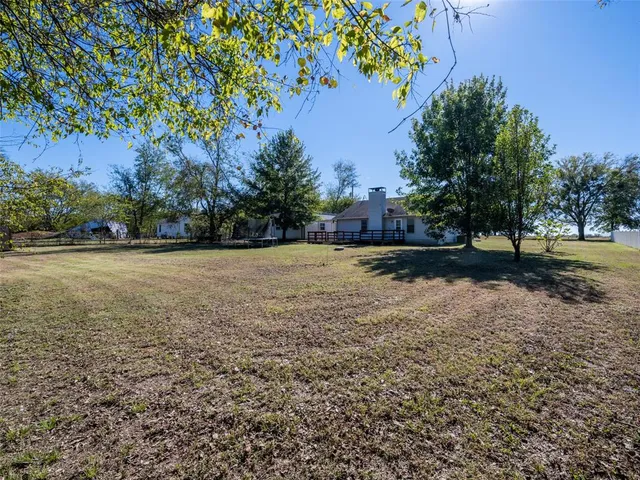 a view of a yard with plants and trees