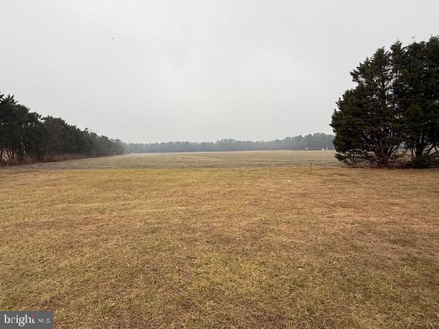 31348 Mt Pleasant Road Laurel, DE 19956 - Photo 10 of 10 a view of an ocean