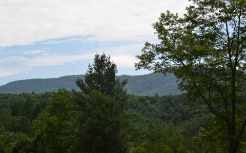 an aerial view of mountain with trees