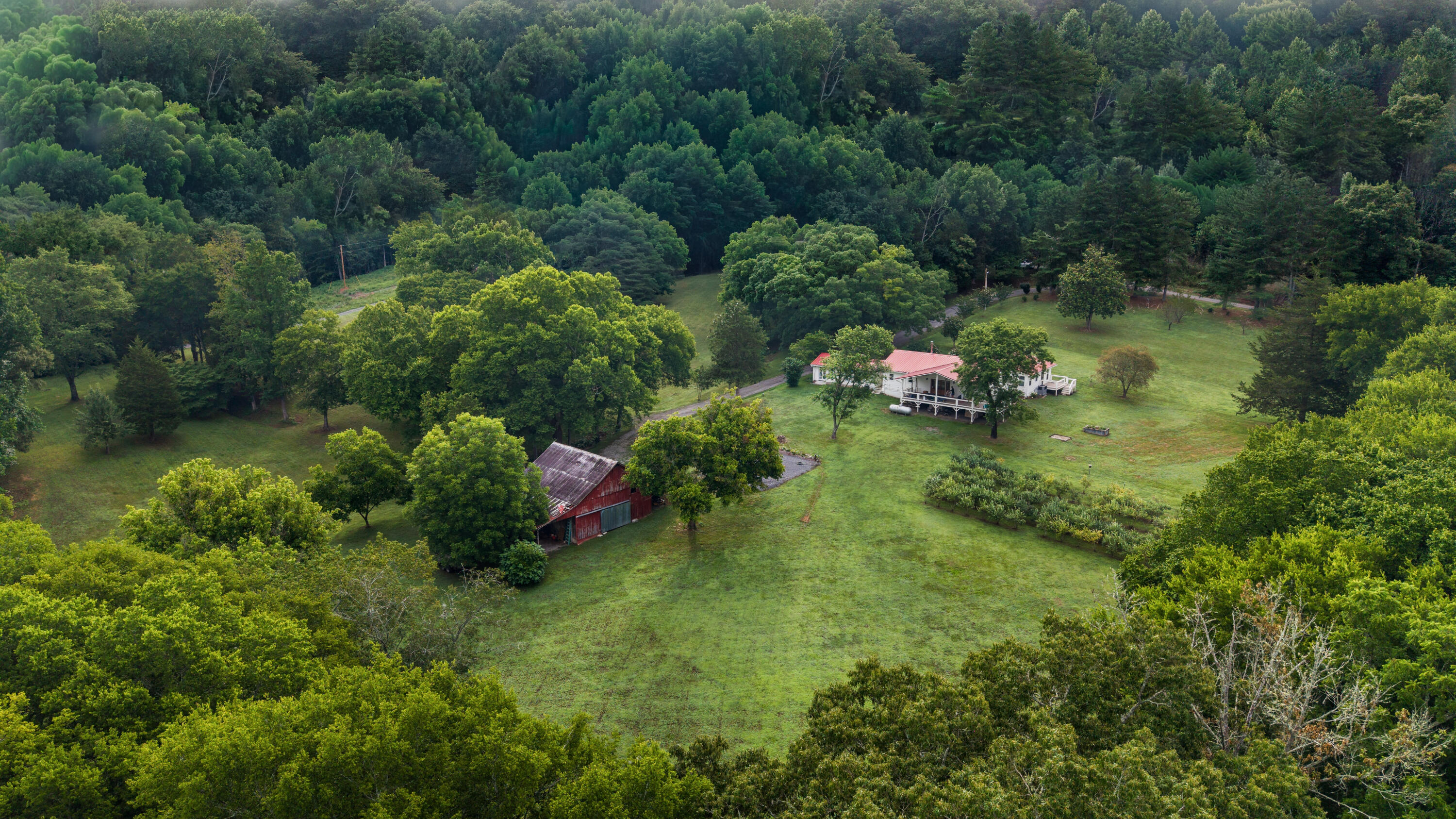 49 Hart Of Pine Road Dunlap, TN 37327 - Photo 3 of 126 LUSH SETTING ON THE RIVER