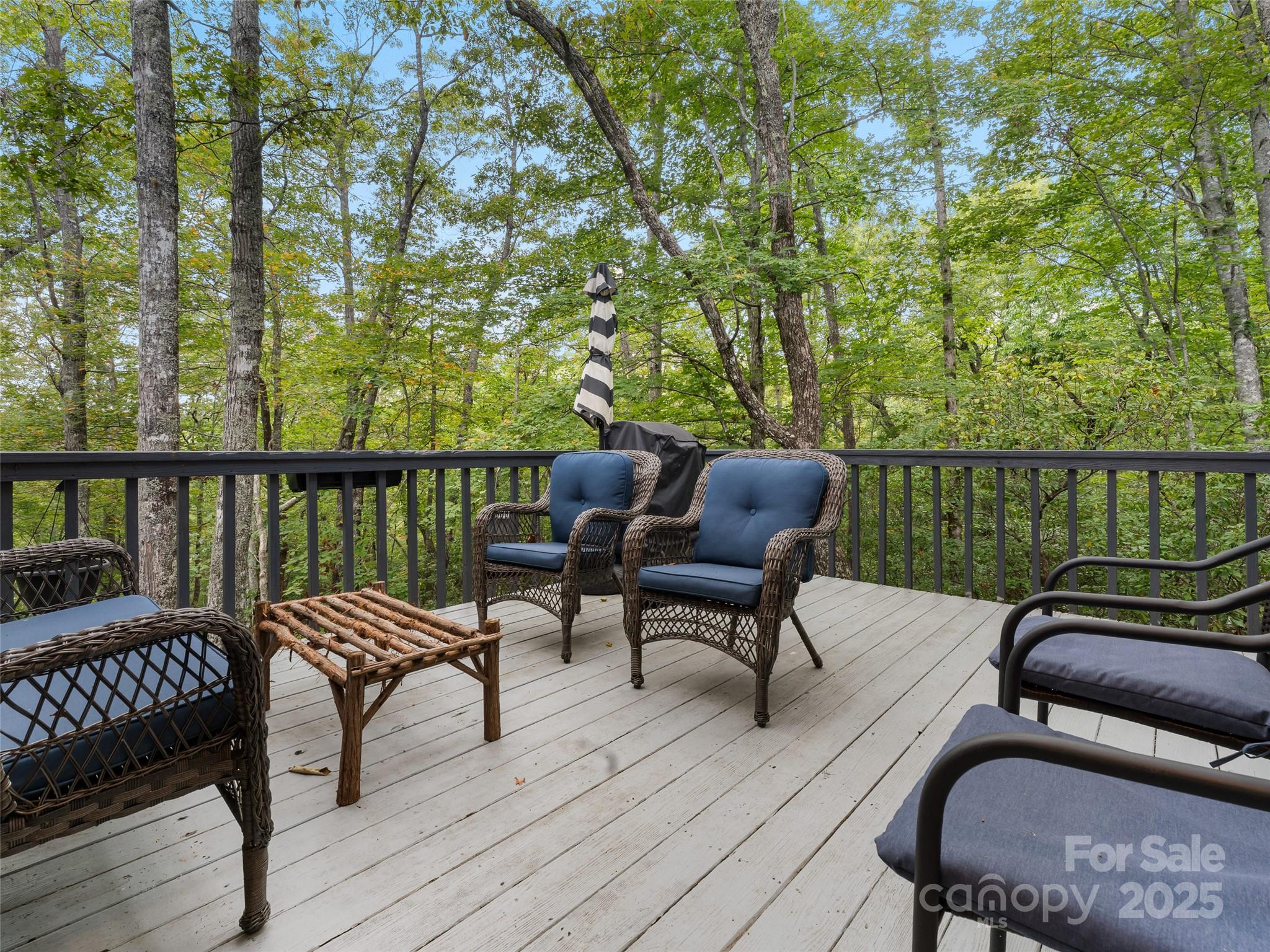 210 Ballard Road Brevard, NC 28712 - Photo 13 of 44