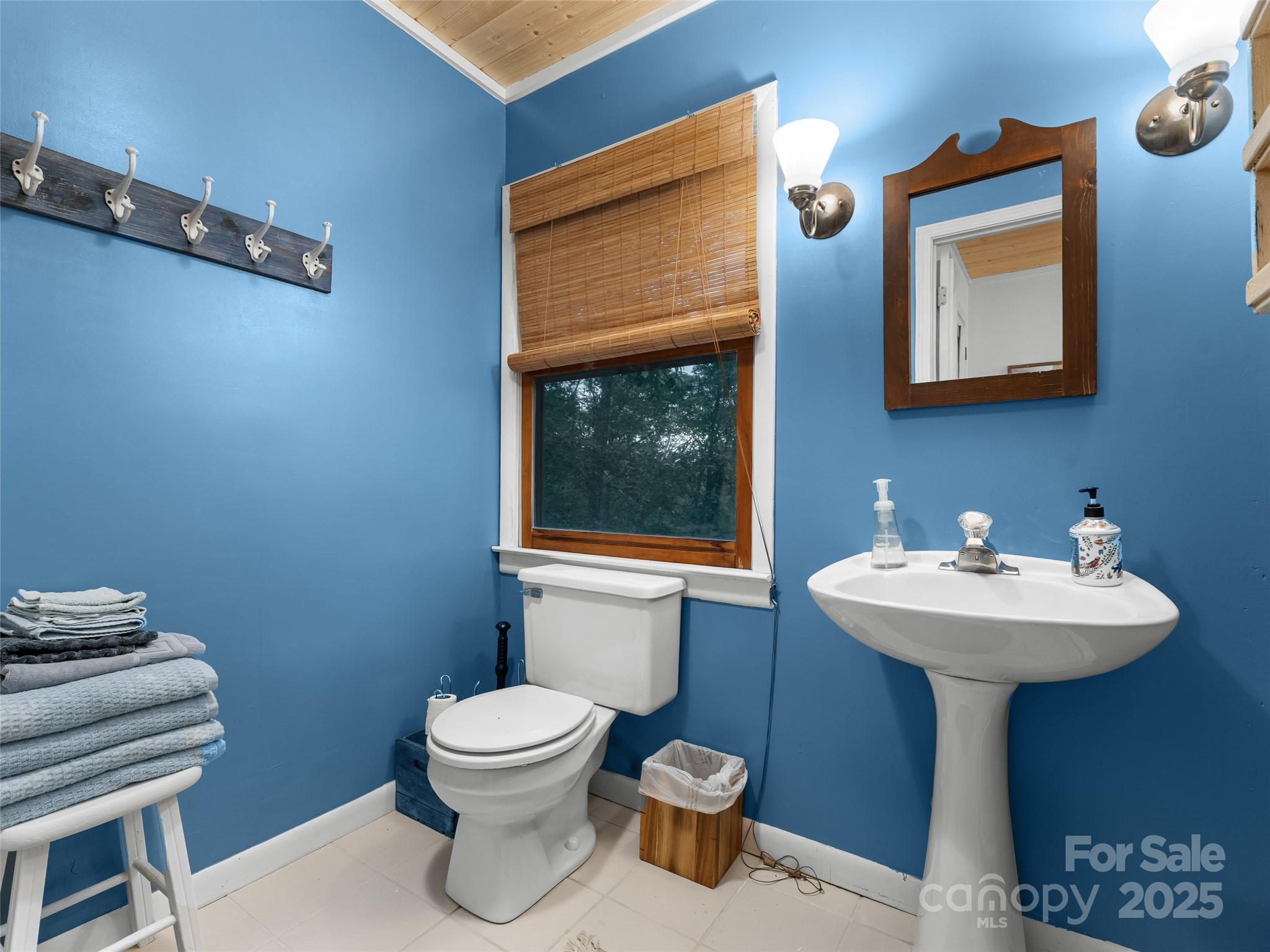 210 Ballard Road Brevard, NC 28712 - Photo 32 of 44