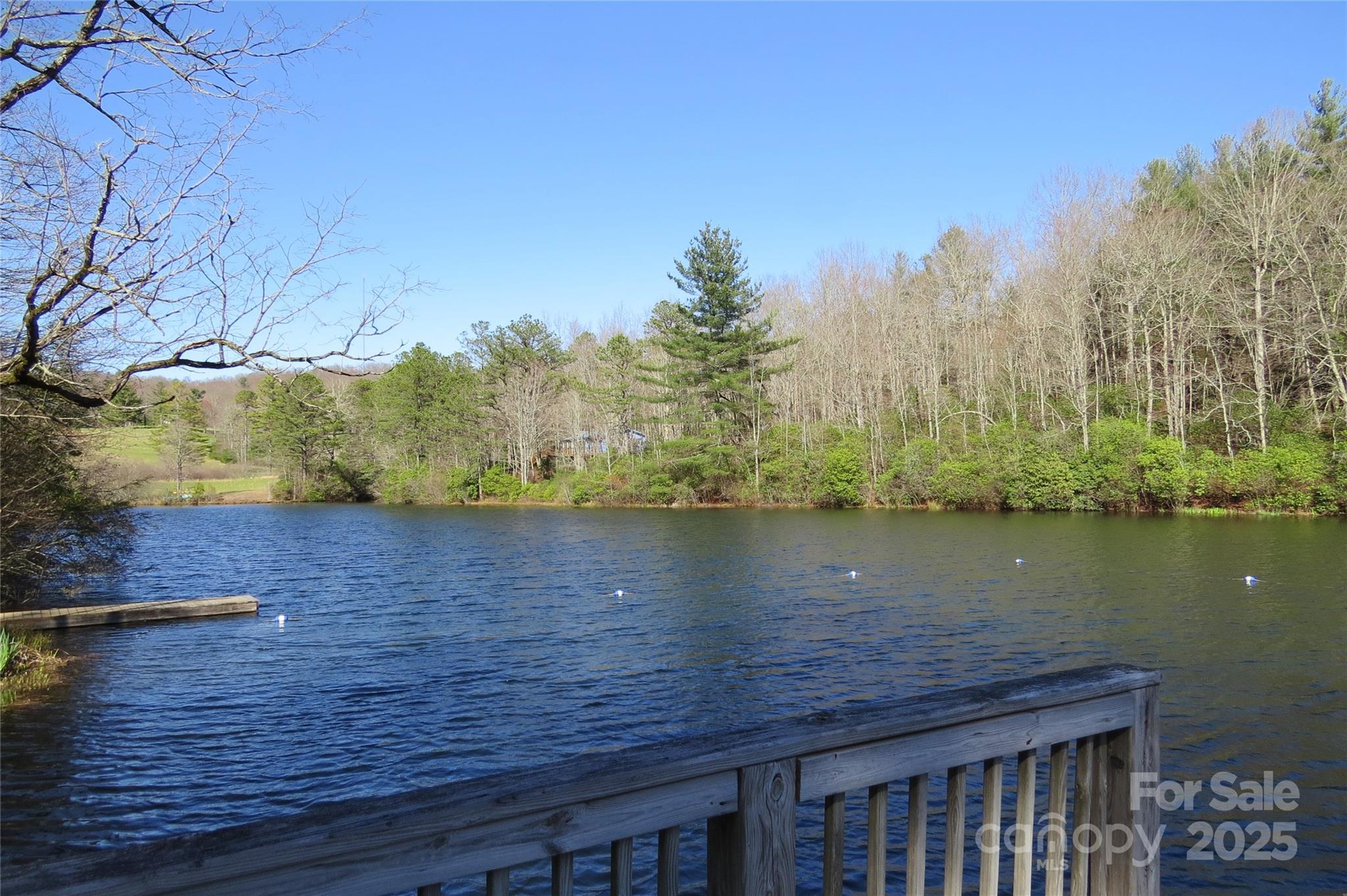 210 Ballard Road Brevard, NC 28712 - Photo 39 of 44