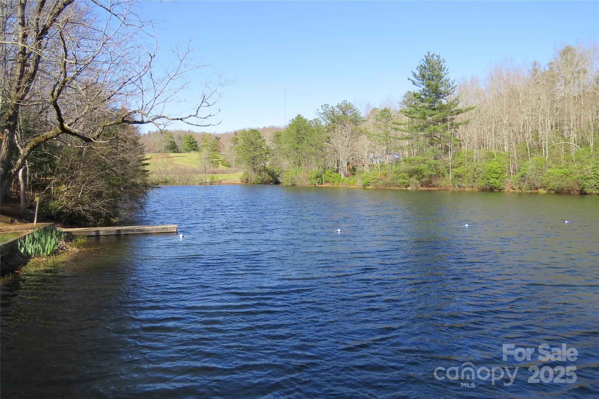 210 Ballard Road Brevard, NC 28712 - Photo 41 of 44
