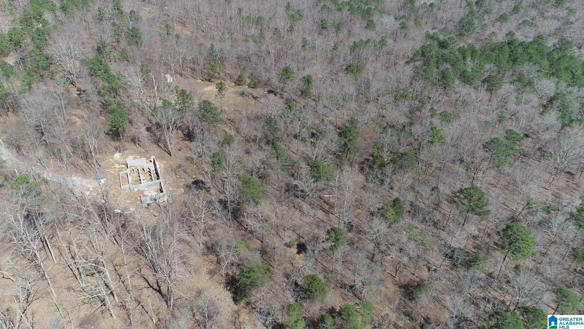 619 Ridge View Drive, Unit 5 ACRES Trussville, AL 35173 - Photo 16 of 20