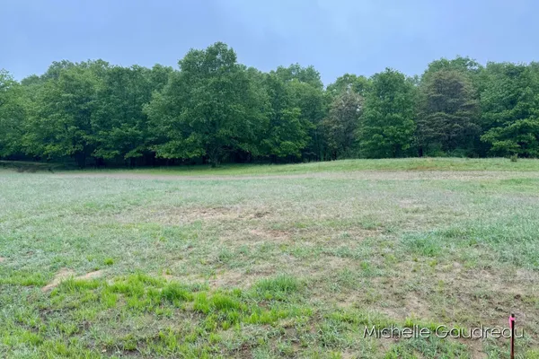 $125,000 | 8 Leaf Lane, Freeport, MI 49325