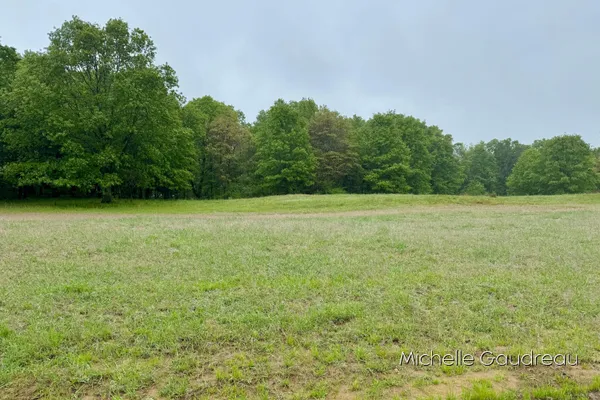 $125,000 | 8 Leaf Lane, Freeport, MI 49325