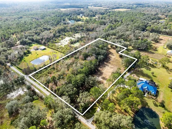 an aerial view of a forest