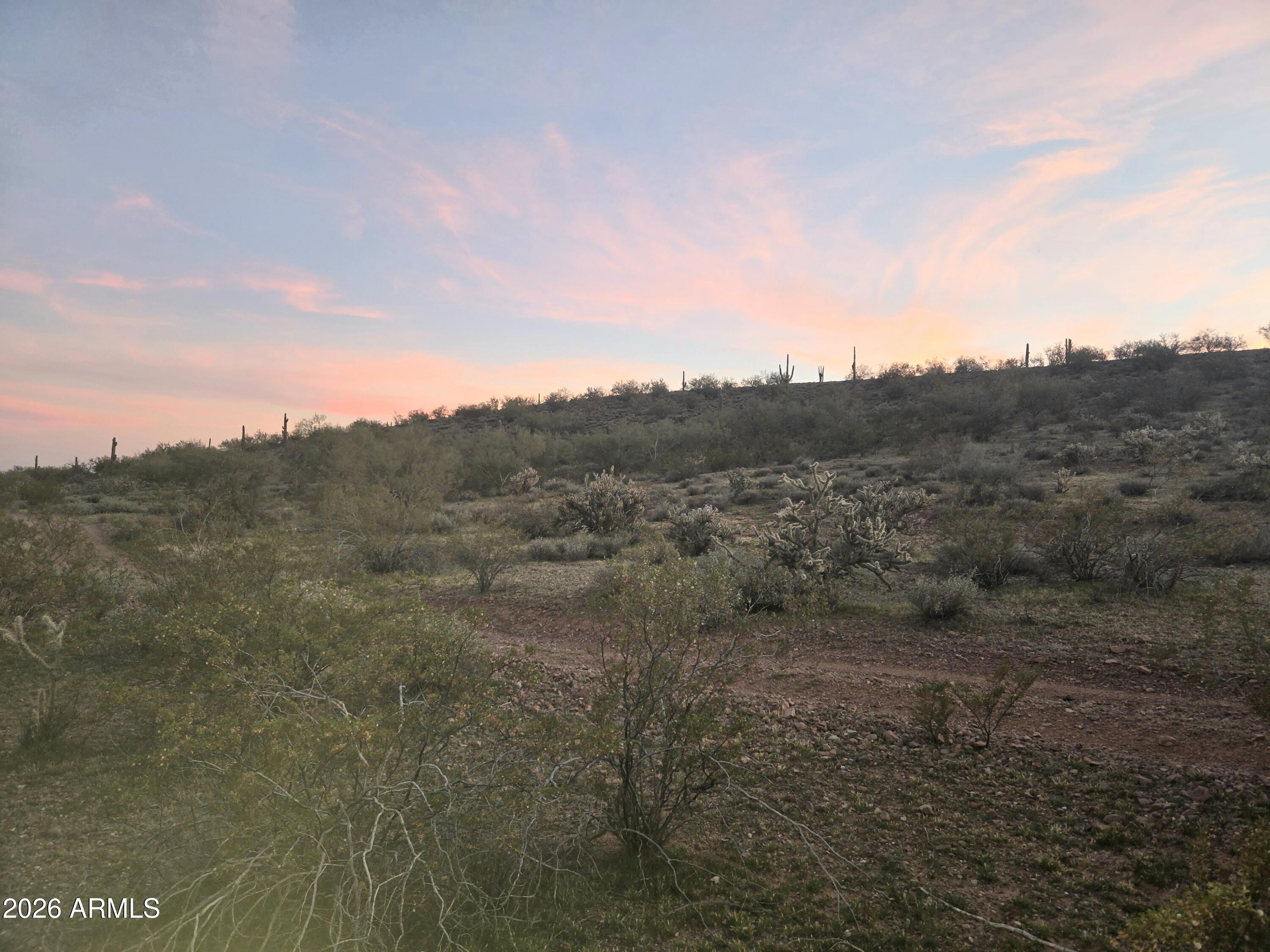 a view of a dry yard with trees in the background