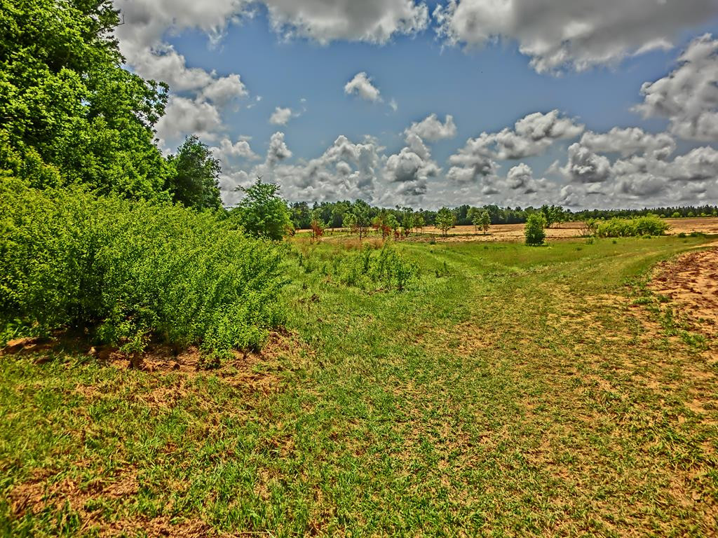 128 Legare Road Salley, SC 29137 - Photo 18 of 19