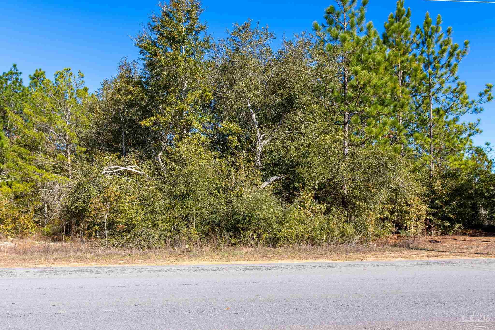 0 Bodega Road Milton, FL 32583 - Photo 2 of 3