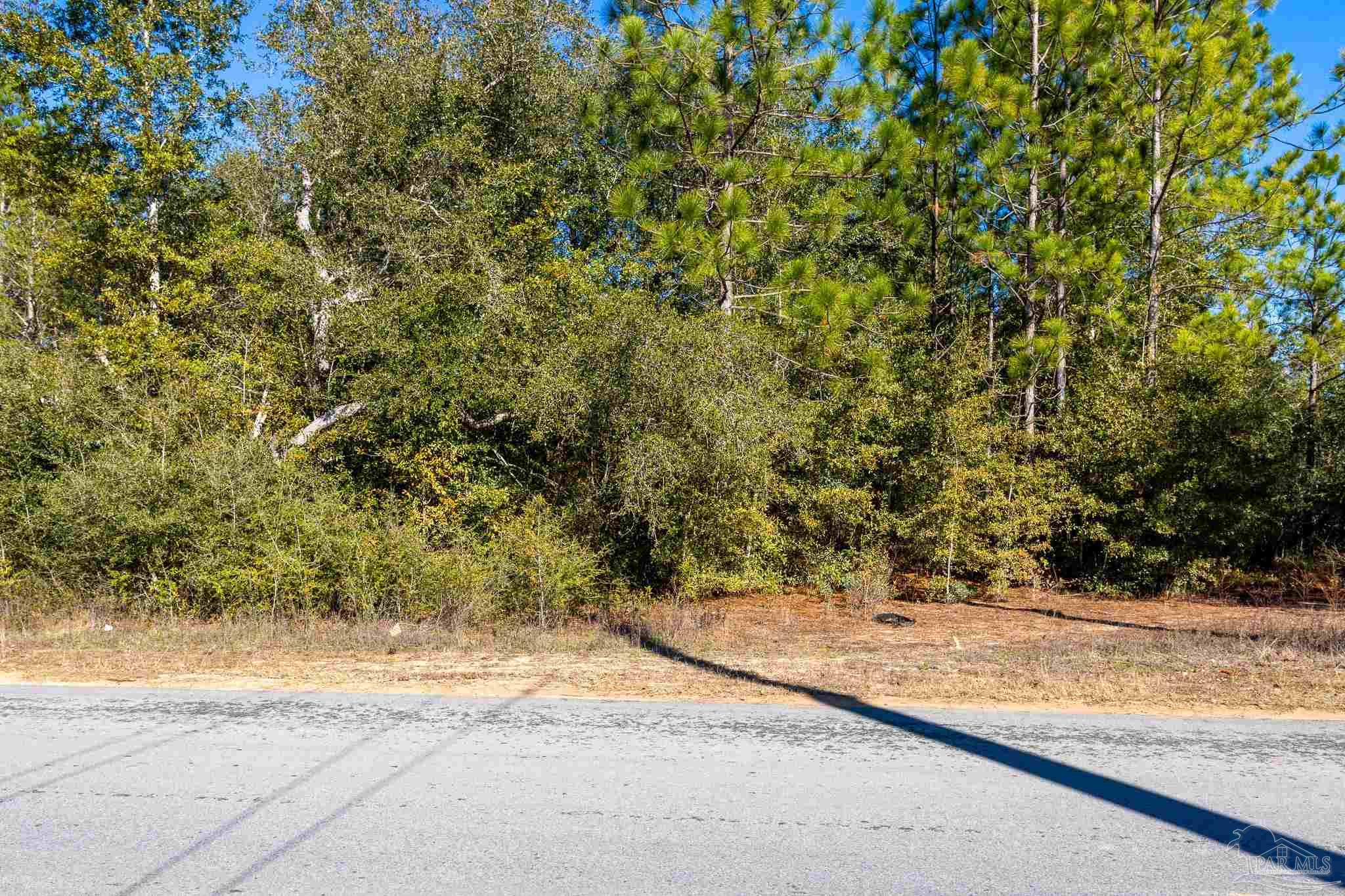 0 Bodega Road Milton, FL 32583 - Photo 3 of 3