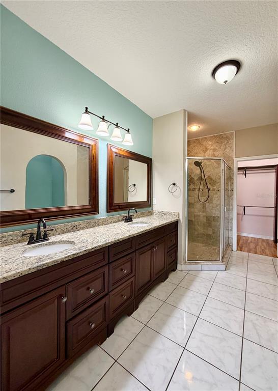 4848 Tampa Downs Boulevard Lutz, FL 33559 - Photo 12 of 27 a spacious bathroom with a granite countertop sink mirror and a