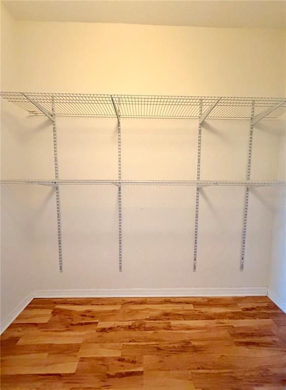 4848 Tampa Downs Boulevard Lutz, FL 33559 - Photo 8 of 27 a view of a room