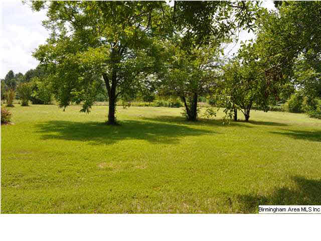 555 Paper Town Road Alpine, AL 35014 - Photo 30 of 32 Gallery Image 30