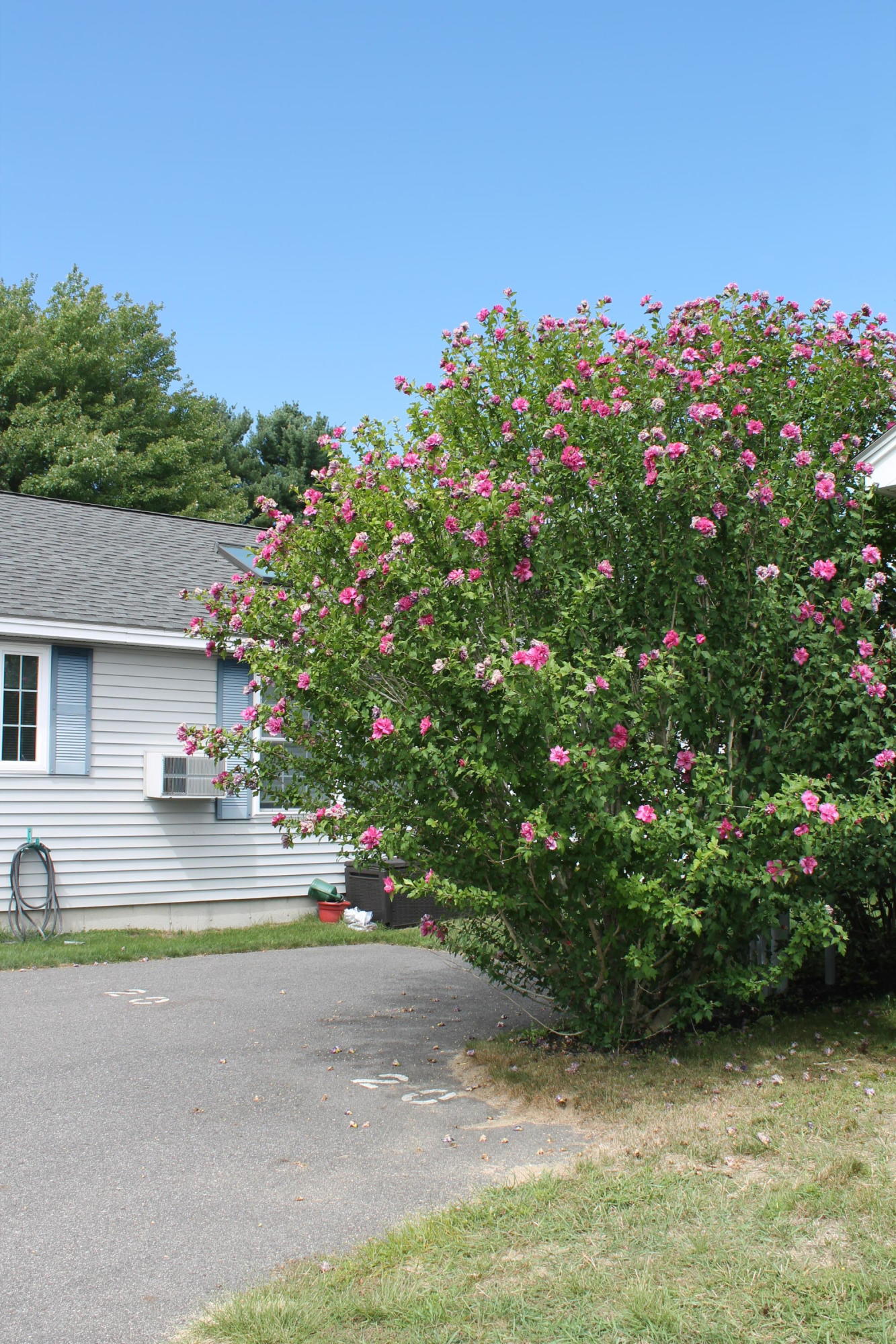 1413 Post Road, Unit 19 Wells, ME 04090 - Photo 30 of 30 IMG_2922