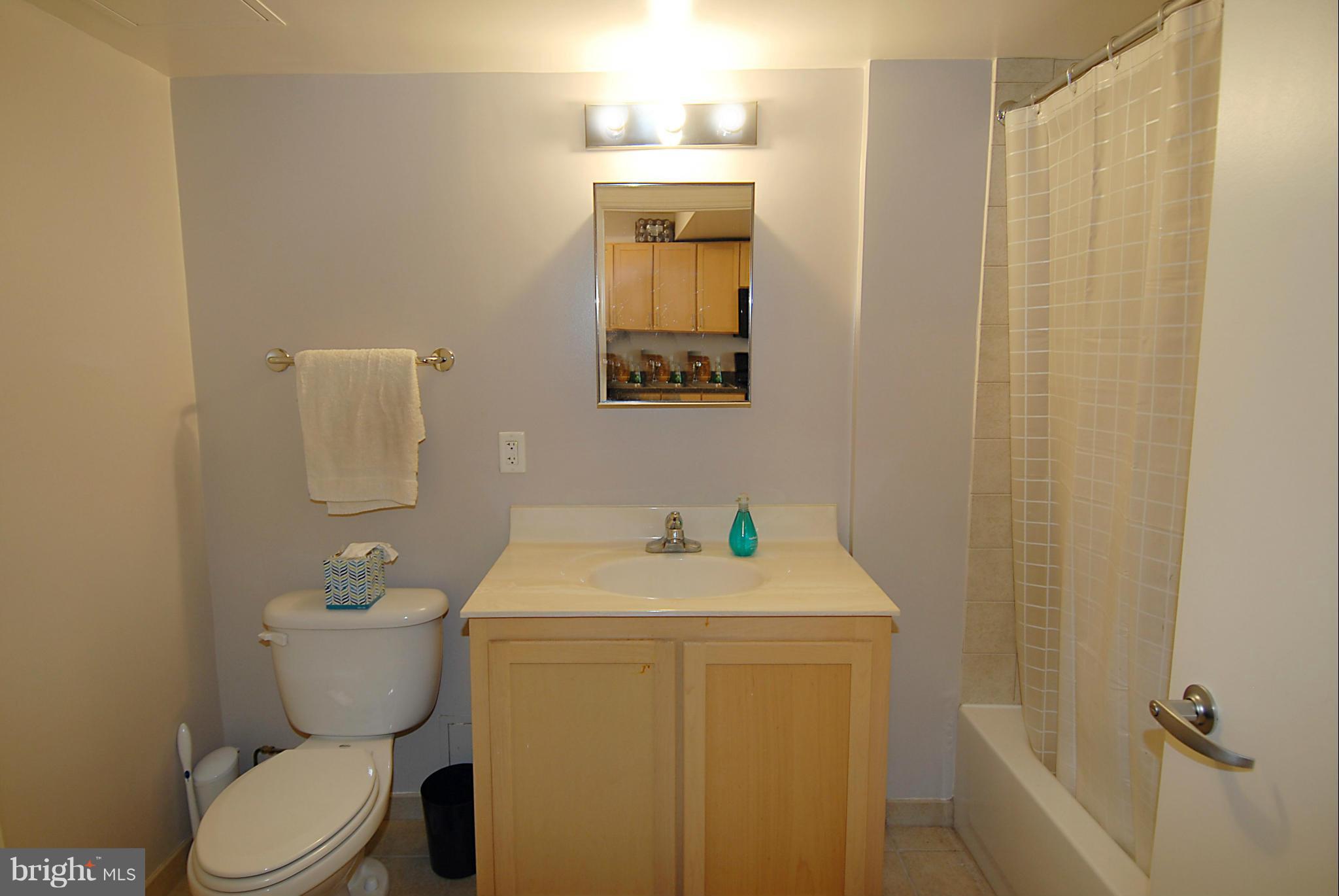 800 4th Street Southwest, Unit N606 Washington, DC 20024 - Photo 13 of 24 Bath
