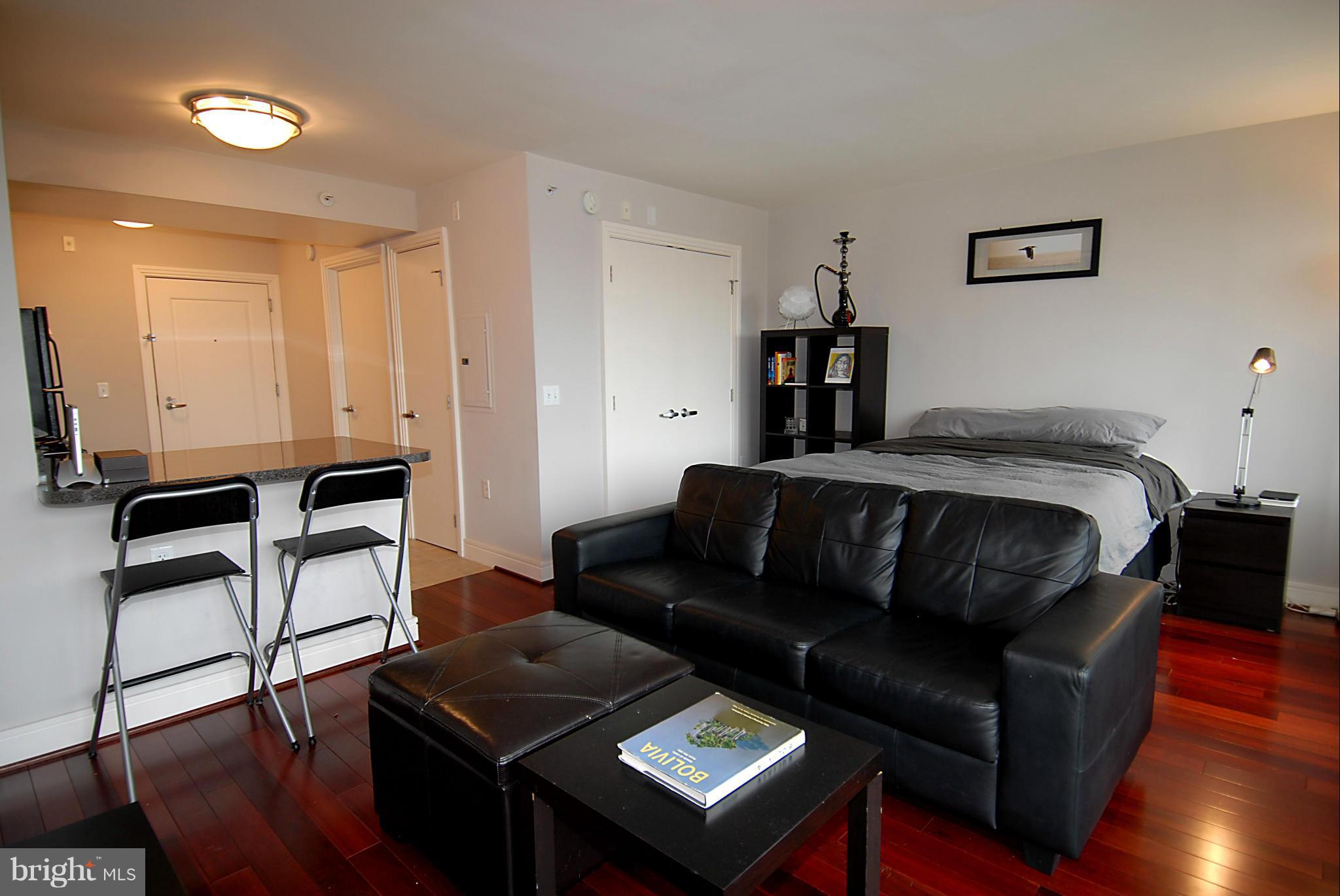 800 4th Street Southwest, Unit N606 Washington, DC 20024 - Photo 8 of 24 Interior (General)