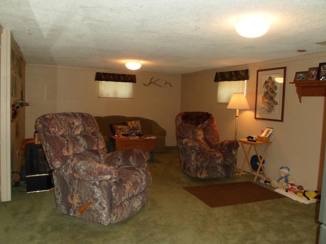1019 East Miller Road Mio, MI 48647 - Photo 5 of 34 Gallery Image 5