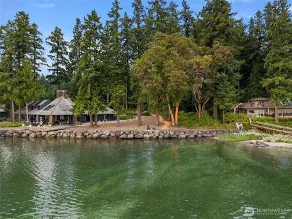 a view of a forest that has a tree