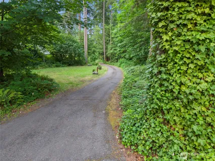 a view of a forest with a street