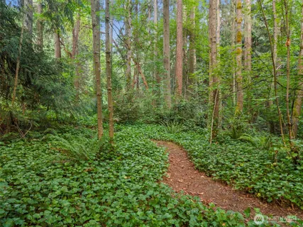 a view of a lake with a mountain in the background