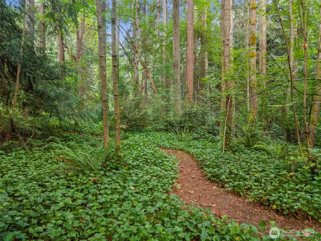 a view of a lake with a mountain in the background
