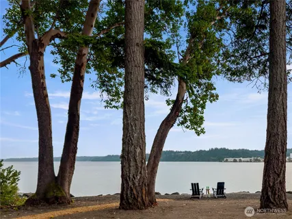 a view of lake with a tree