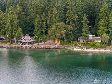 a view of a yard with plants and trees