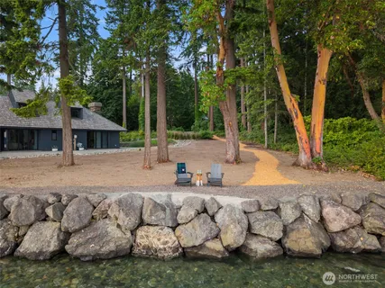 a view of beach and tree