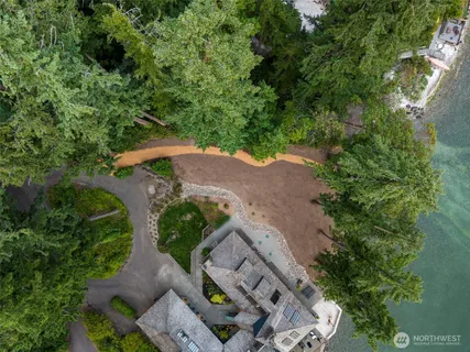 a view of large trees with a yard