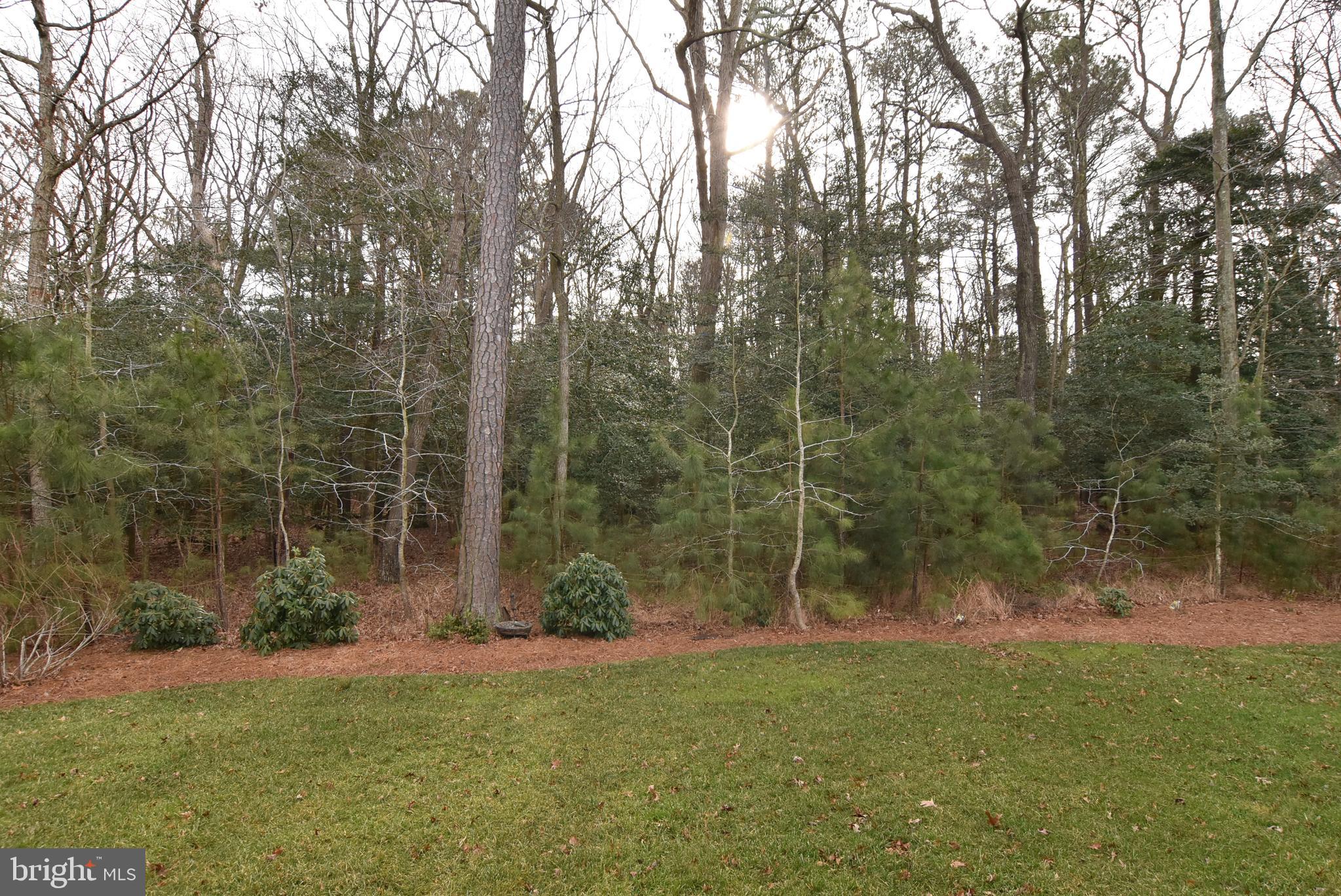 30969 Scissorbill Road Ocean View, DE 19970 - Photo 33 of 49 Gallery Image 33