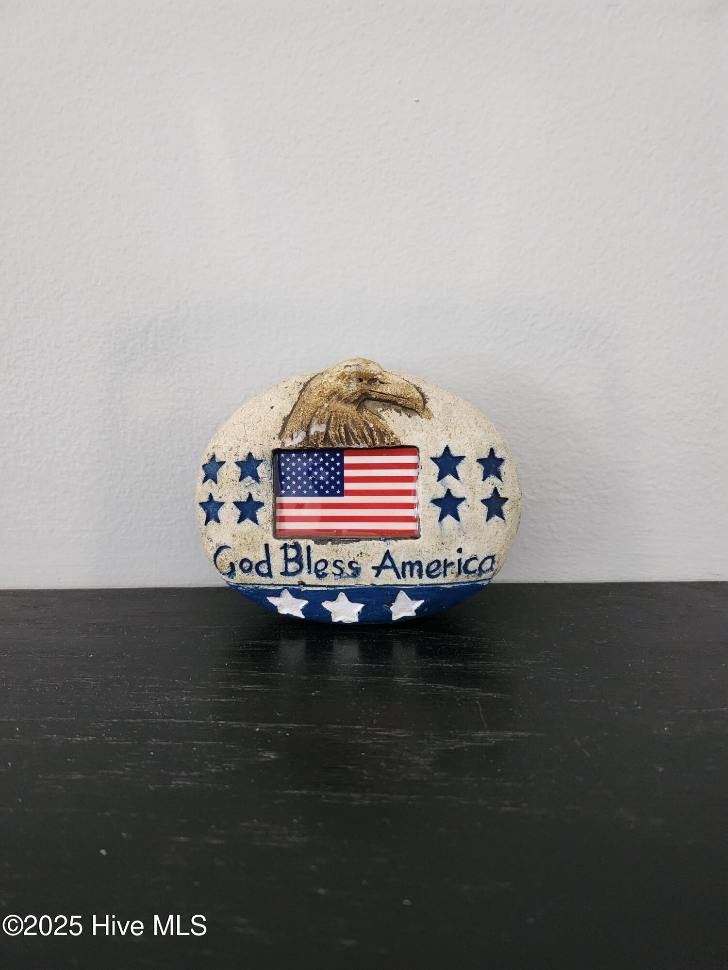 283 Bannermans Mill Road Richlands, NC 28574 - Photo 7 of 24 God Bless America Eagle