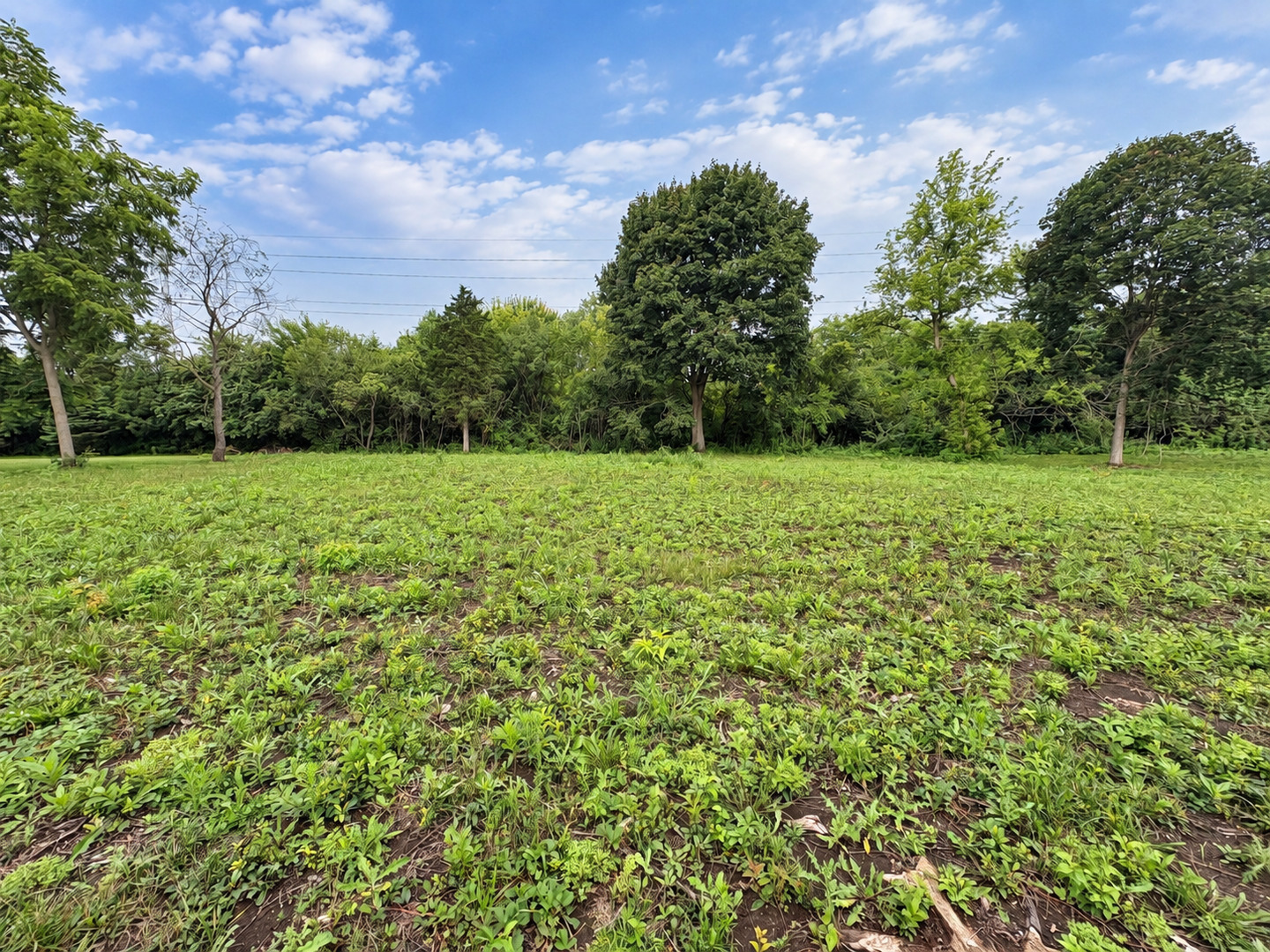 45 Squire Road Hawthorn Woods, IL 60047 - Photo 1 of 5 Gallery Image 1