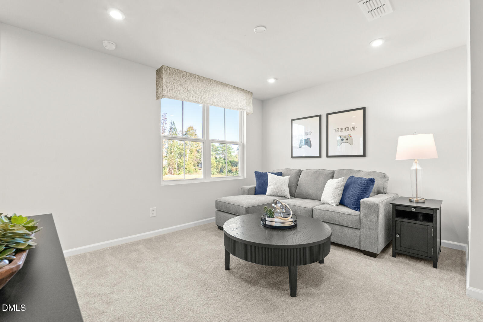 3894 Moth Lane Bailey, NC 27807 - Photo 17 of 23 a living room with furniture and a window