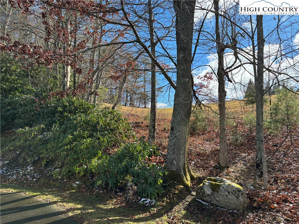 12-13 Gable Farm Road Boone, NC 28607 - Photo 3 of 9