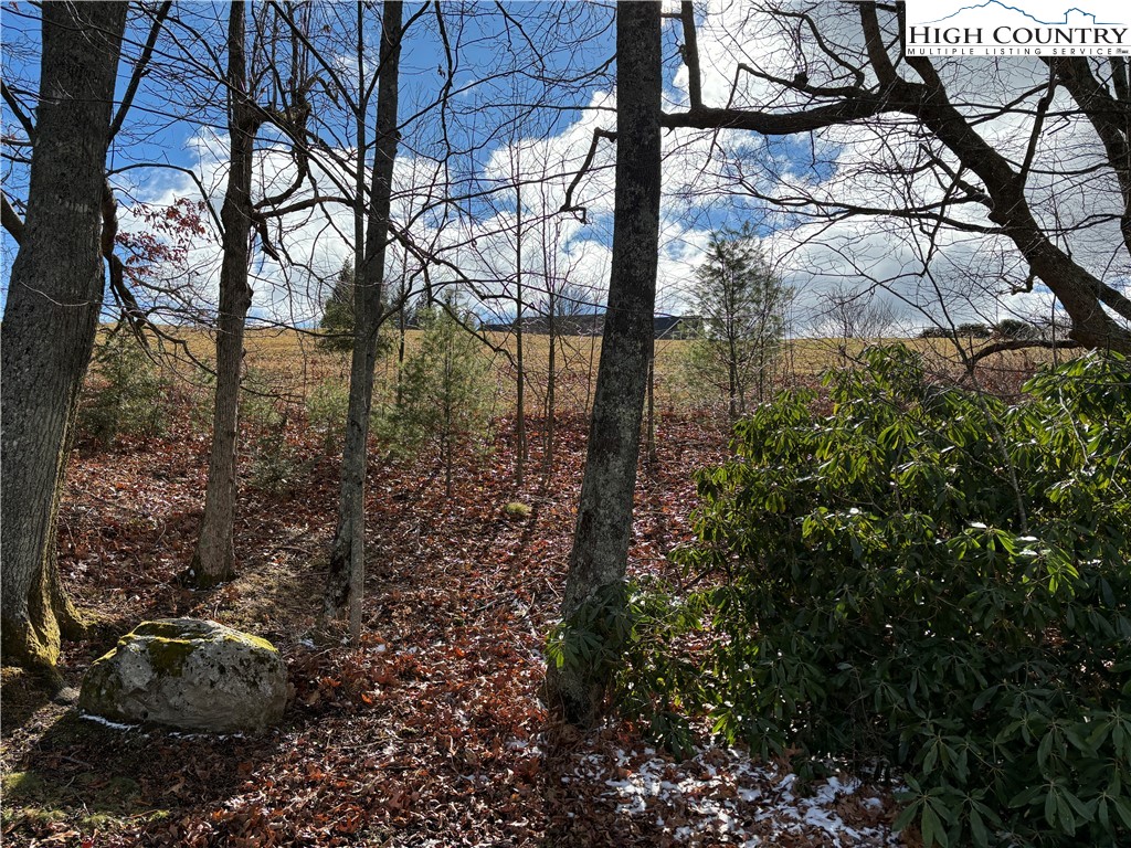 12-13 Gable Farm Road Boone, NC 28607 - Photo 4 of 9