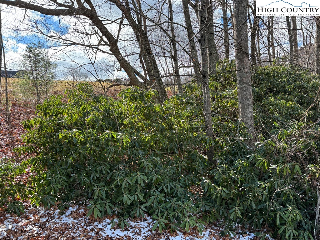 12-13 Gable Farm Road Boone, NC 28607 - Photo 5 of 9